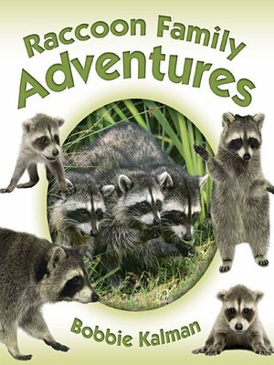 cover image of Raccoon Family Adventures